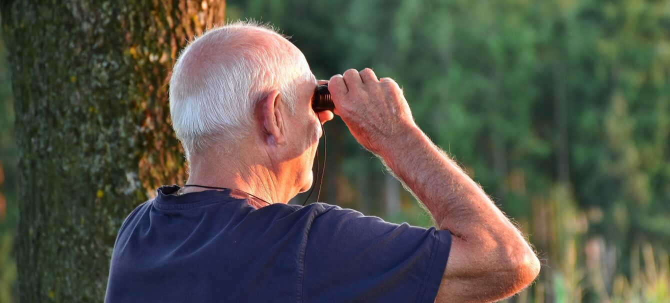 Optimise Your Retirement in Chilcomb