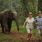 Best Pension Advisors in Hampshire How to Find Expert Retirement Advice