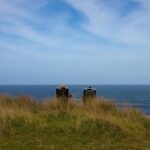 How Harestock Professionals Can Prepare for Early Retirement